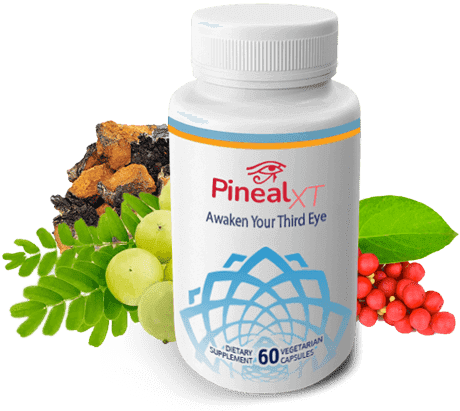 Pineal XT Under Review