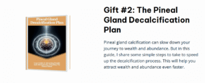The Last Wish Review Bonus 2 Pineal Gland Decalcification Plan